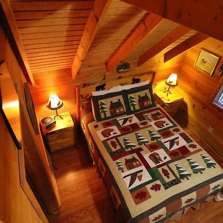 הלן Cute Updated Mountain Cabin Fireplace #3 מראה חיצוני תמונה