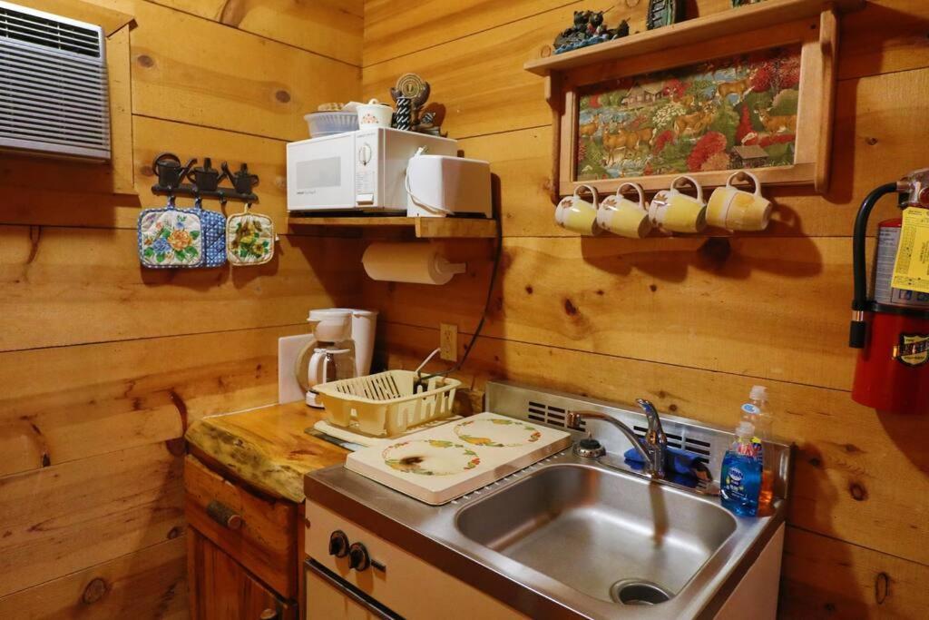 הלן Cute Updated Mountain Cabin Fireplace #3 מראה חיצוני תמונה
