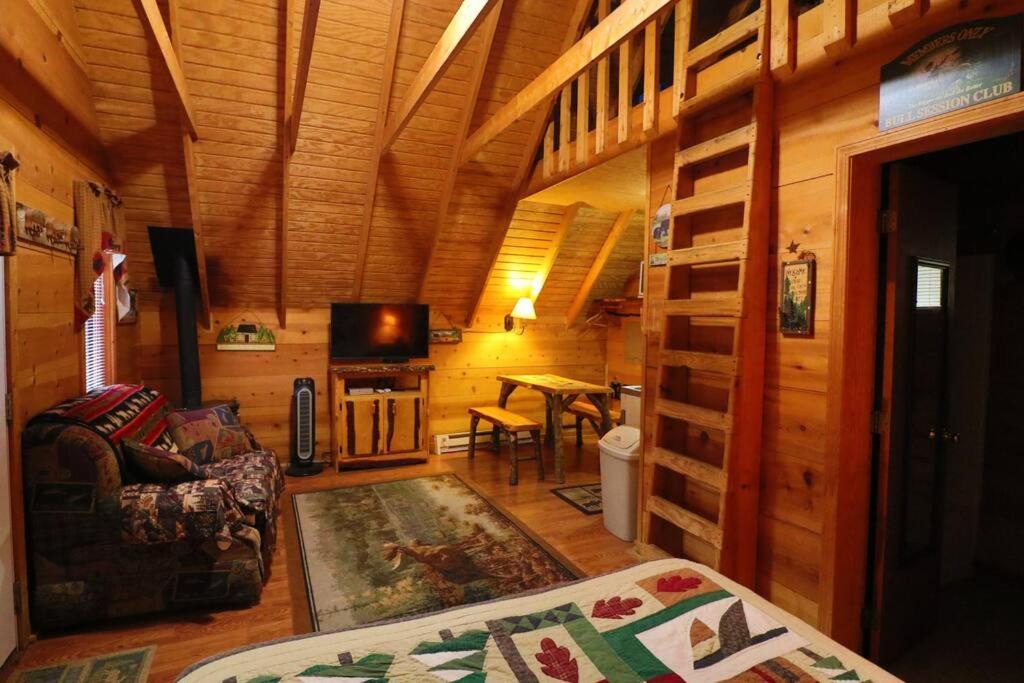 הלן Cute Updated Mountain Cabin Fireplace #3 מראה חיצוני תמונה