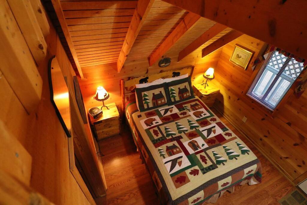 הלן Cute Updated Mountain Cabin Fireplace #3 מראה חיצוני תמונה